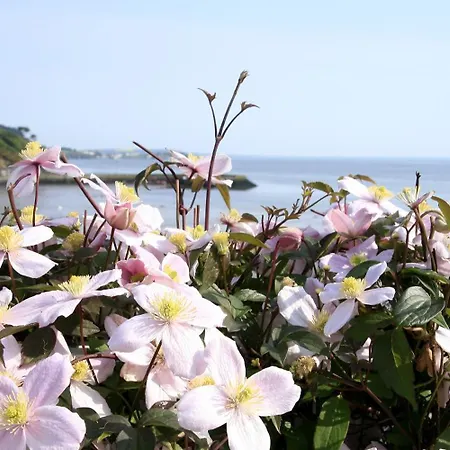 Marsh Mere Arthurstown