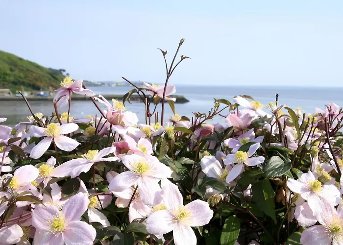 Marsh Mere Arthurstown